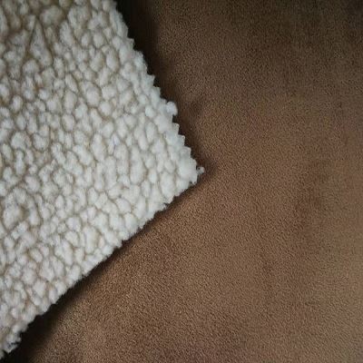 Sherpa Suede Fabric-6
