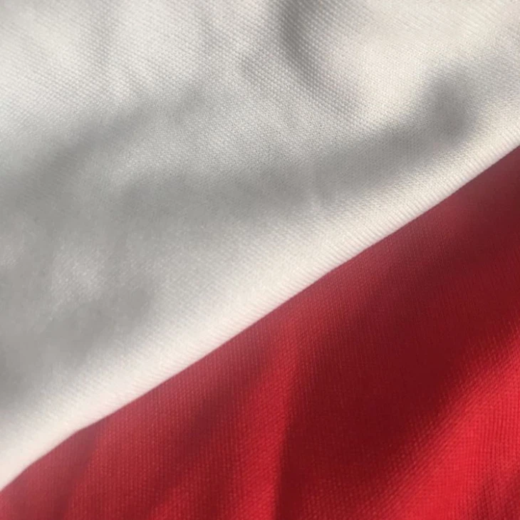 100% Polyester Micro Interlock Fabric
